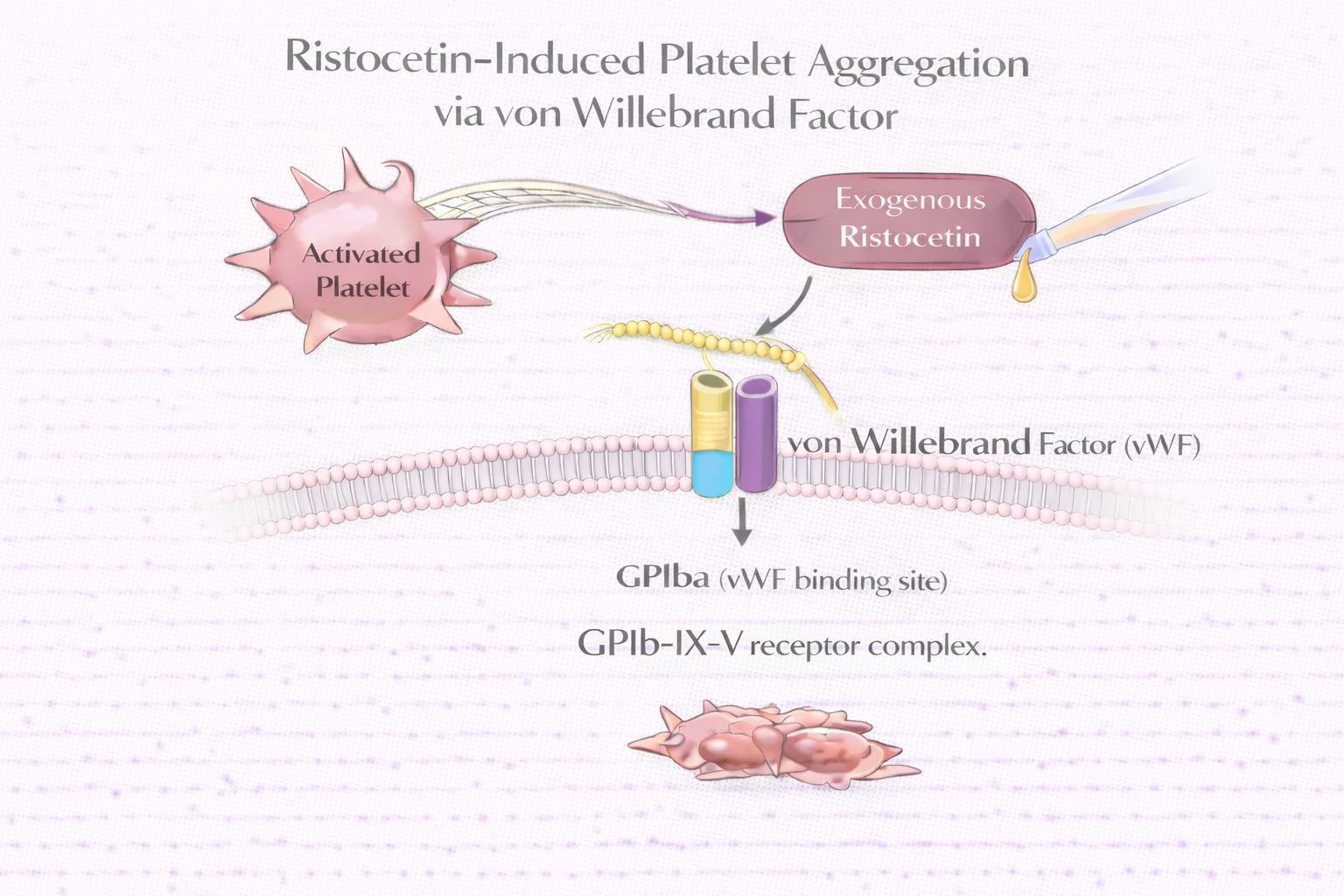 Ristocetin